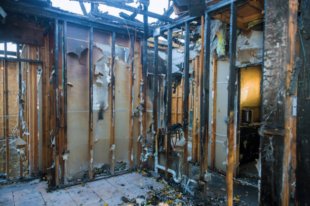 Professional Fire Damage Assessment technician working in Ruskin, FL